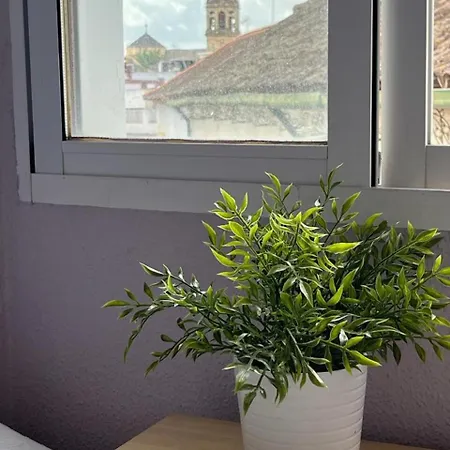 El Balcon De La Torre Apartment